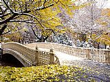 Early Snowfall, Central Park by Unknown Artist